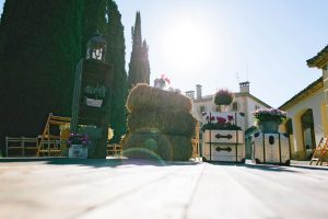 Señorío de Sarría - Celebración de Bodas Y Eventos en la Bodega