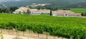 La Bodega - Señorío de Sarría - BORNOS Bodegas y Viñedos