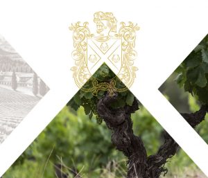 El Viñedo - Señorío de Sarría - BORNOS Bodegas y Viñedos