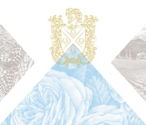 ROSÉ - Señorío de Sarría - BORNOS Bodegas y Viñedos